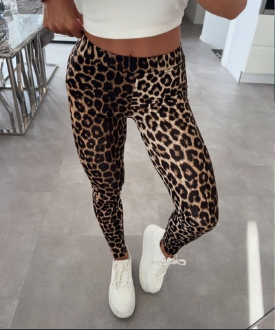 Leo Leggings Thea Stretch  Ladypolitan ♡   